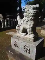 氷川神社の狛犬