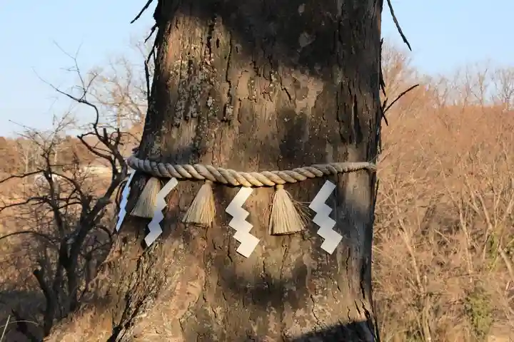 阿久津「田村神社」(郡山市阿久津町)旧社名:伊豆箱根三嶋三社の自然