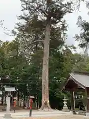 滑川神社 - 仕事と子どもの守り神の自然