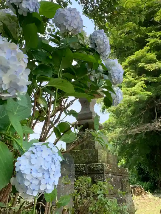 八雲神社の自然