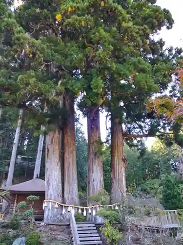 金剛三昧院(和歌山県)