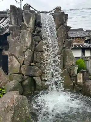 四季桜の寺 妙乗院(愛知県)