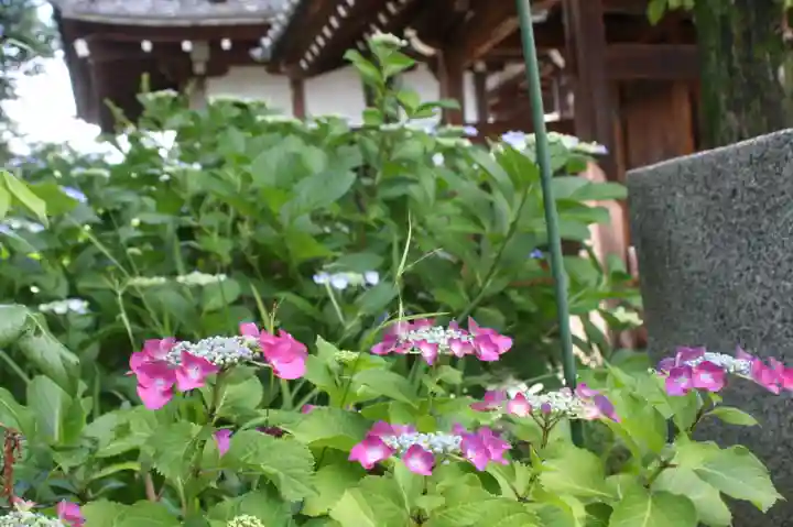 正楽寺(滋賀県)