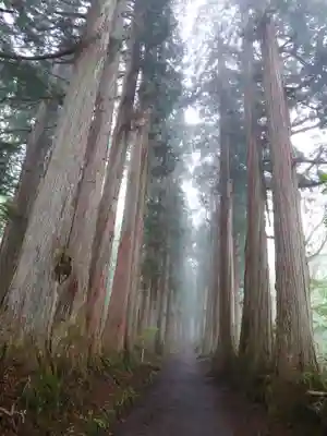 戸隠神社九頭龍社(長野県)