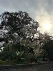 簳幹八幡宮(東京都)