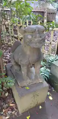 渋谷氷川神社の狛犬