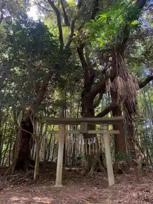 鷲神社(千葉県)