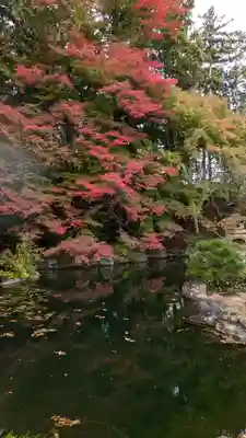 善峯寺(京都府)