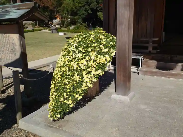 出雲大社北島国造館 出雲教のその他建物