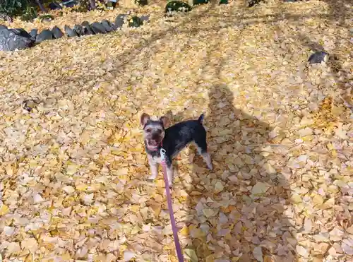 長言寺(埼玉県)