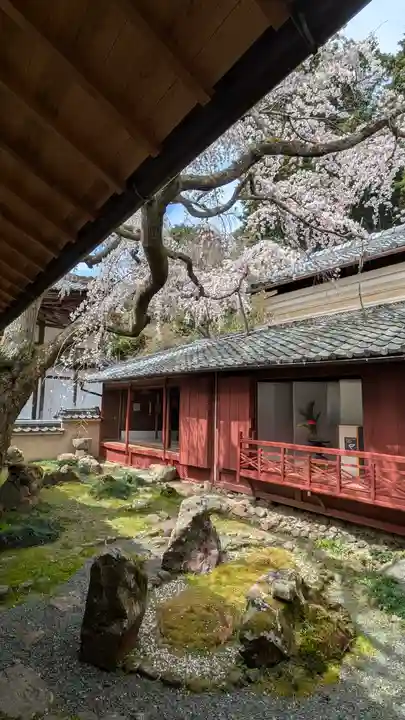 十輪寺(京都府)