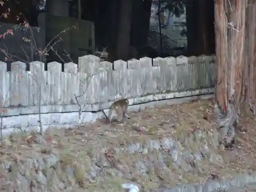仁科神明宮のその他建物