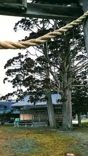 水分神社の本殿