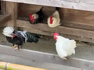 大崎八幡宮(宮城県)