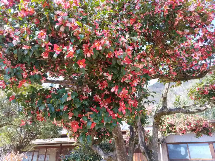 真福寺(岐阜県)