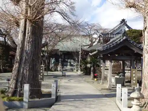 宗川寺の庭園