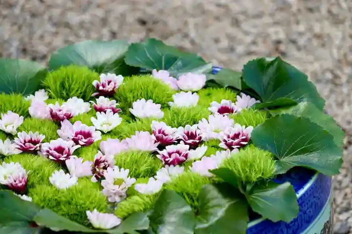 上尾御嶽神社の手水舎