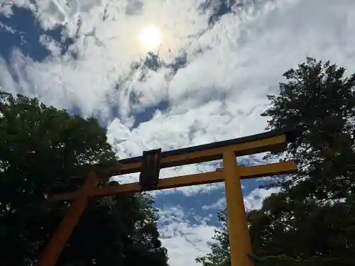 川越氷川神社(埼玉県)