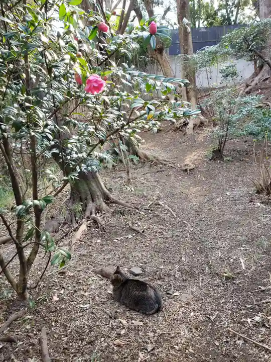 白金氷川神社(東京都)