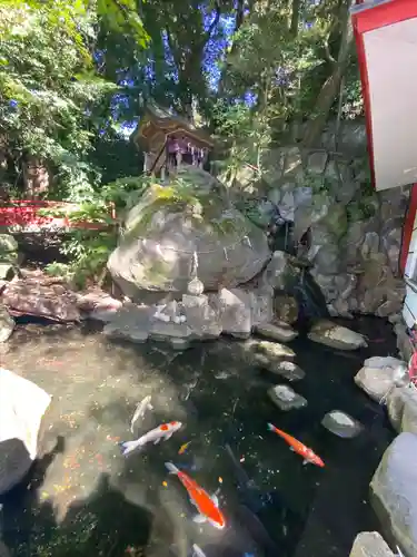 來宮神社(静岡県)