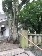 美保神社の建物その他