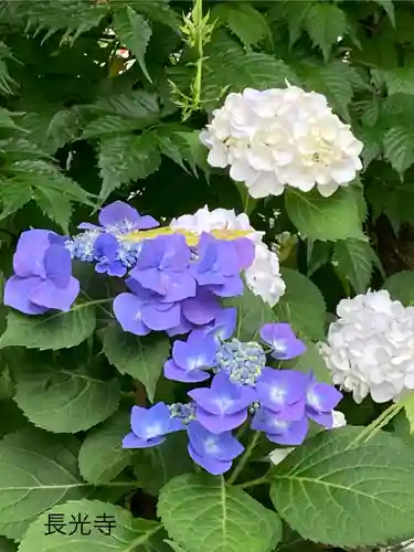 長光寺(長野県)