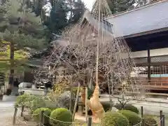 常安寺の建物その他