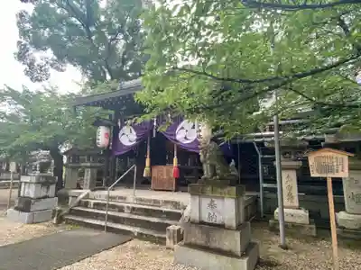 許波多神社（小幡東中鎮座）の本殿・本堂