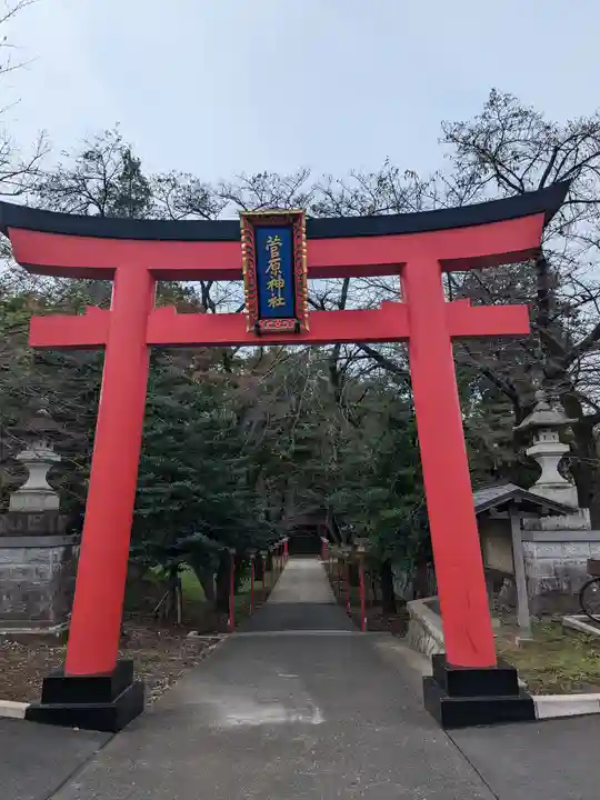 菅原神社(東京都)