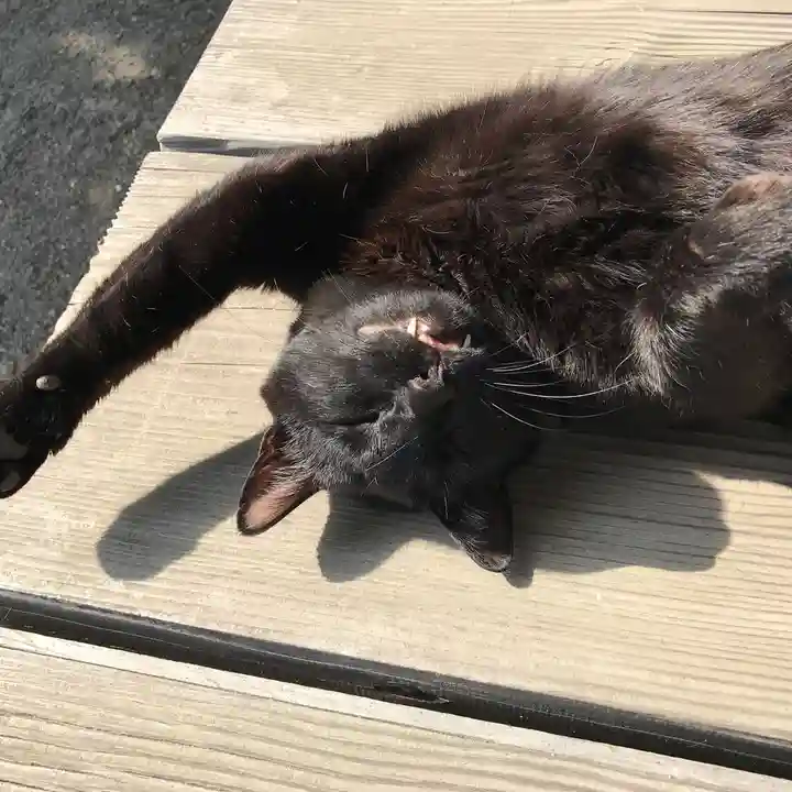 高司神社〜むすびの神の鎮まる社〜(福島県)
