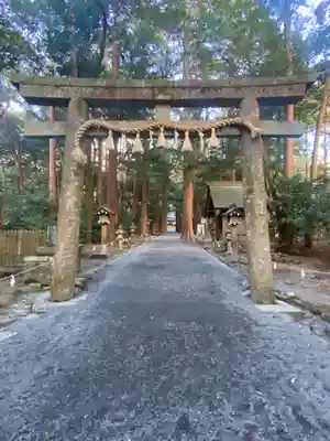 椿大神社の鳥居