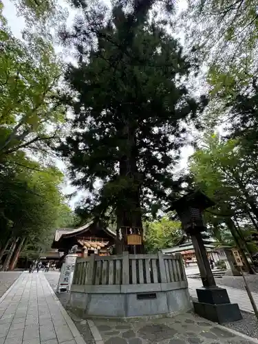 諏訪大社下社秋宮(長野県)