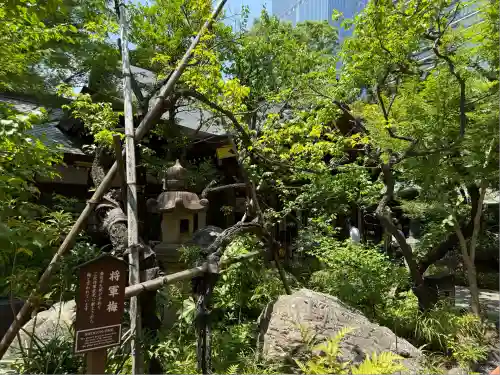 愛宕神社の自然