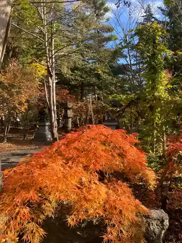 岩見澤神社(北海道)
