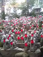 豊川閣 妙厳寺の狛犬