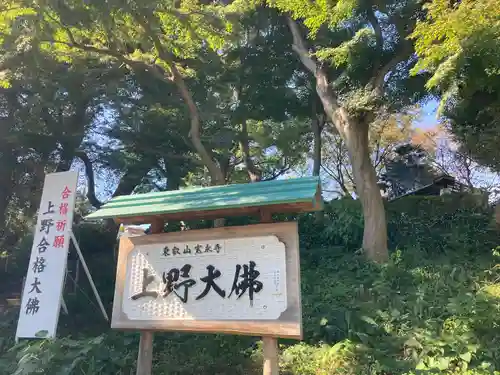 上野大佛のその他建物