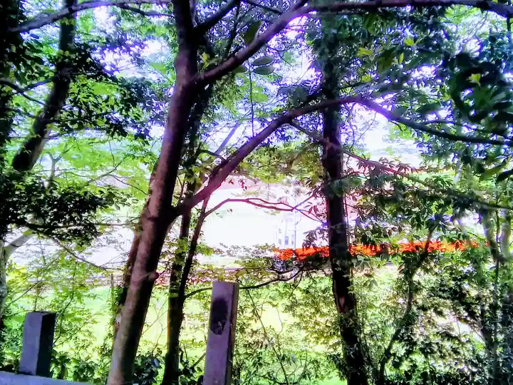 大宝八幡宮の自然