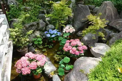 岡寺（龍蓋寺）の自然