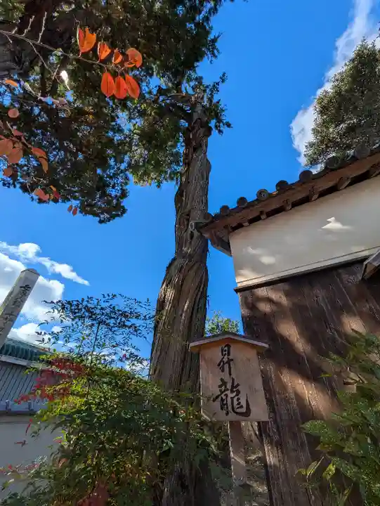 御坂神社(兵庫県)
