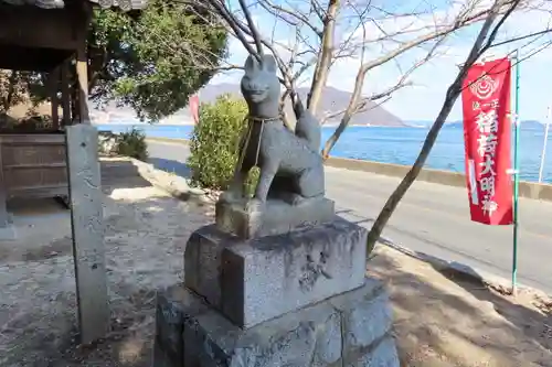 稲荷神社の狛犬