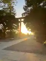 川越氷川神社の{uncategorized: "未分類", other: "その他", undefined: "問題あり", building: "その他建物", grave: "お墓", sacred_gate: "鳥居", guardian: "狛犬", statue: "像", buddha: "仏像", history: "歴史", nature: "自然", garden: "庭園", animal: "動物", pagoda: "塔", temizu: "手水舎", mountain_gate: "山門・神門", sanctuary: "本殿・本堂", subordinate: "末社・摂社", art: "芸術", scenery: "景色", jizo: "地蔵", ema: "絵馬", goshuin: "御朱印", omikuji: "おみくじ", items: "授与品その他", amulet: "お守り", goshuincho: "御朱印帳", eats: "食事", festival: "お祭り", votive_dance: "神楽", shichigosan: "七五三参", wedding: "結婚式", experience: "体験その他", initially: "初詣", around: "周辺", anti_infection: "感染症対策"}