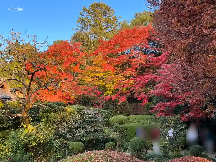 詩仙堂(丈山寺)の自然