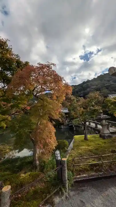 禅林寺(永観堂)(京都府)