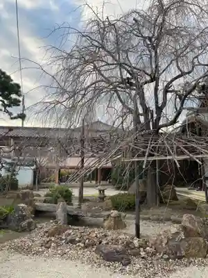 妙蓮寺(京都府)