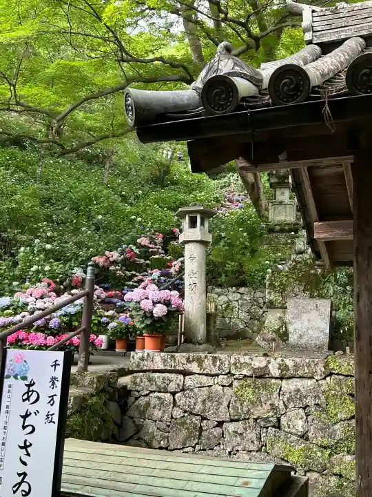 長谷寺(奈良県)
