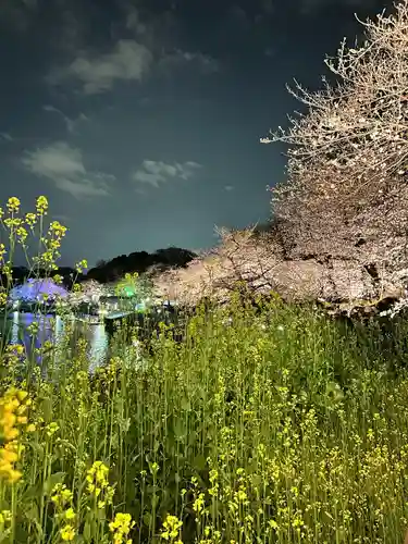 靖國神社(東京都)