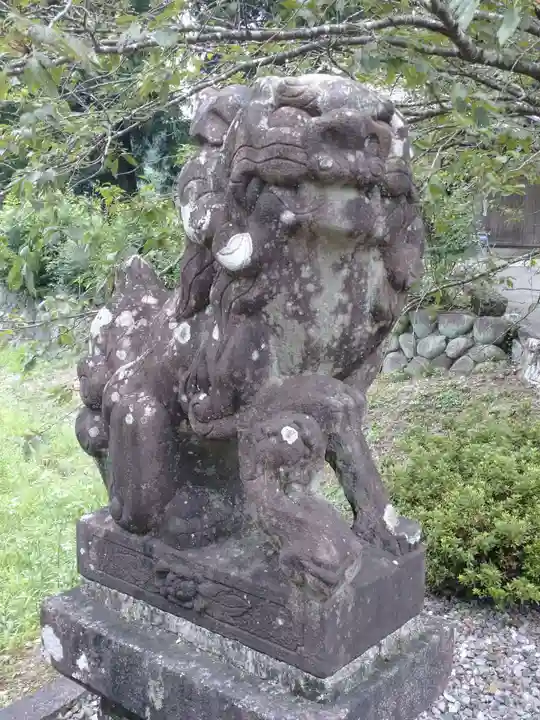 七社神明神社の狛犬