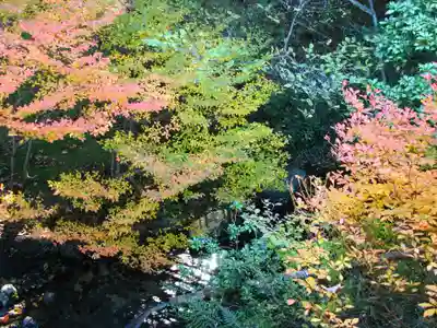 安養寺のその他建物