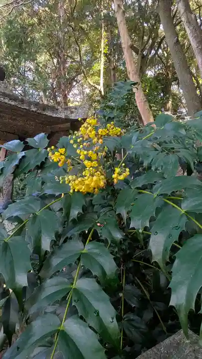 北白川天神宮(京都府)