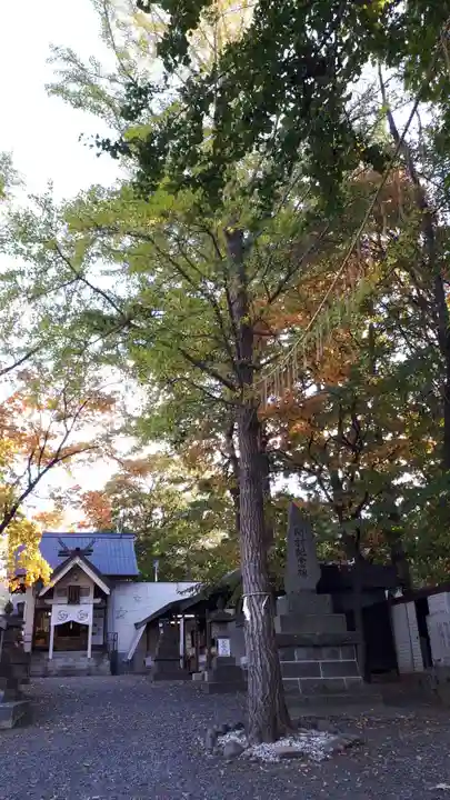 星置神社の自然